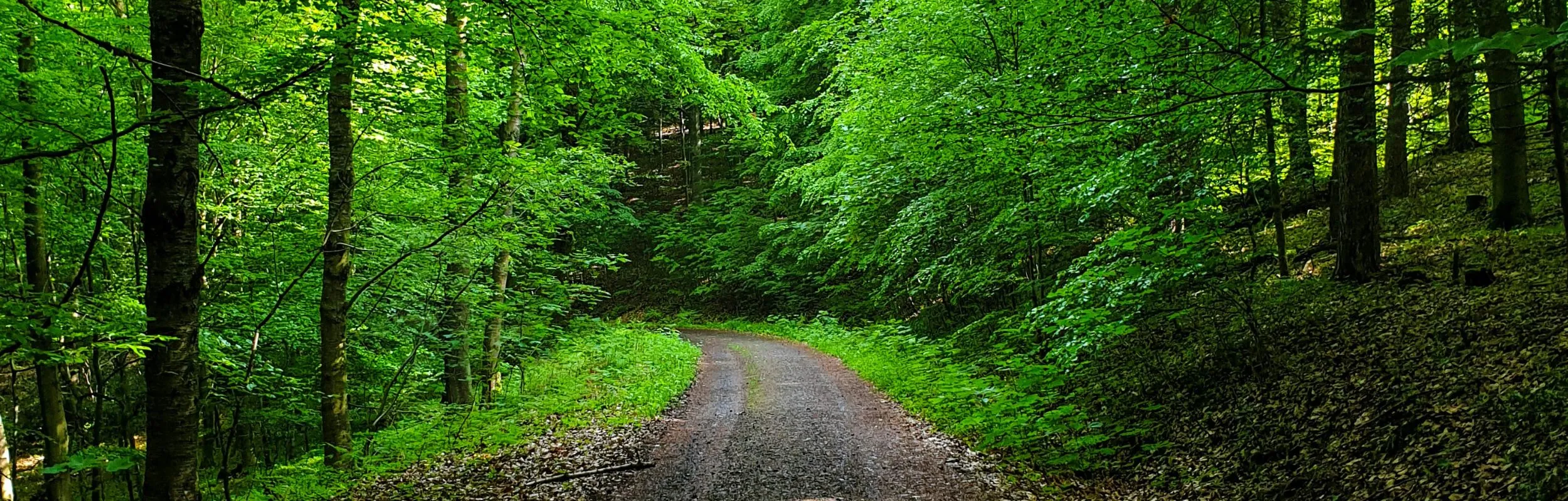 Correre in primavera: percorsi esclusivi in Italia e all’estero